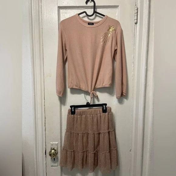 Elegant Pink Top and Skirt Set - Picture 1 of 4